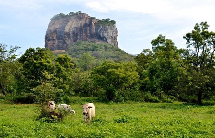 Kings Village Sigiriya Eksteriør bilde