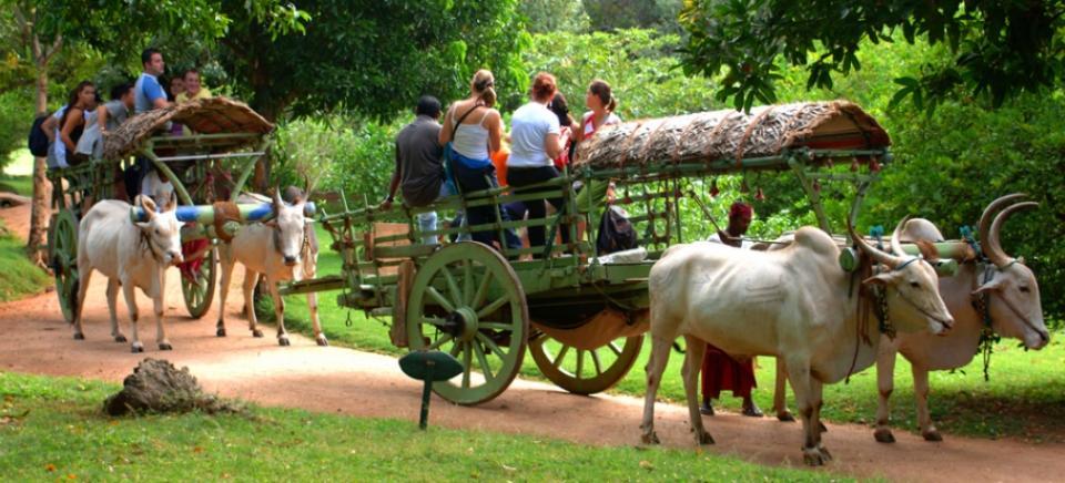 Kings Village Sigiriya Eksteriør bilde