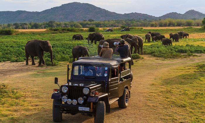 Kings Village Sigiriya Eksteriør bilde